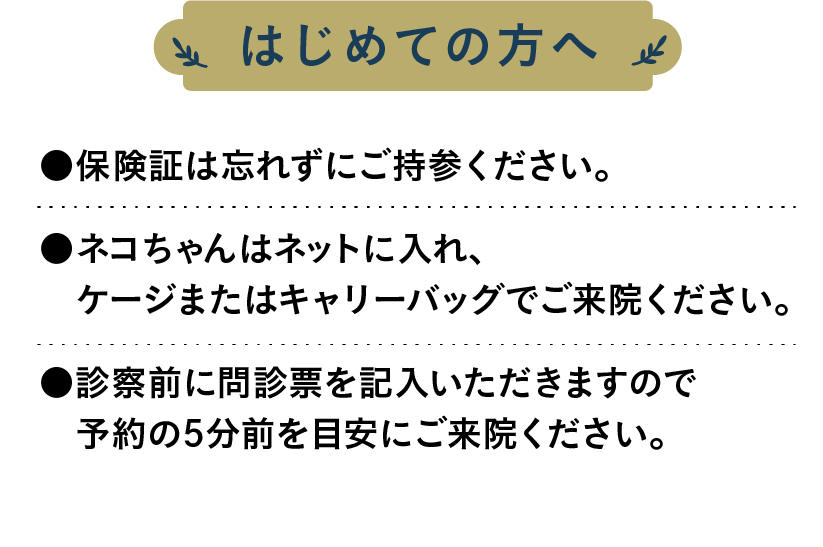 はじめての方へ。保険証は忘れずにご持参ください。ネコちゃんはネットに入れ、ケージまたはキャリーバッグでご来院ください。診察前に問診票を記入いただきますので、予約の5分前を目安にご来院ください