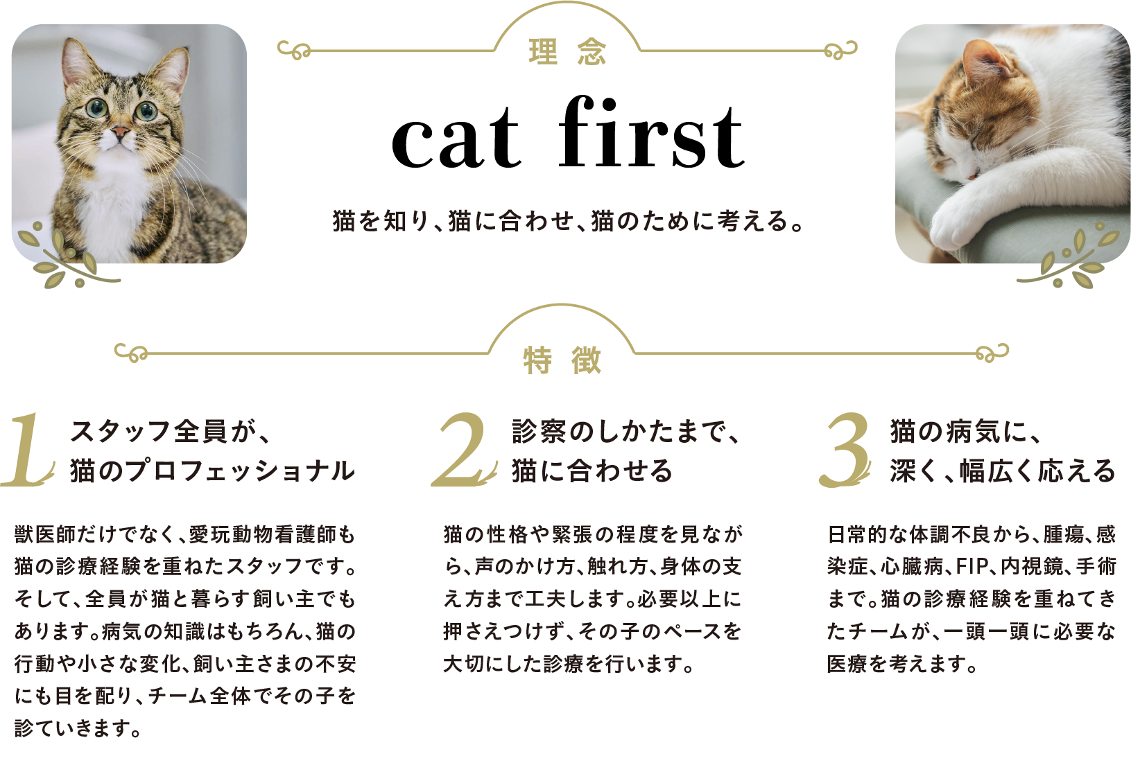 特徴
猫を知り、猫に合わせ、猫のために考える。1、スタッフ全員が、猫のプロフェッショナル。獣医師だけでなく、愛玩動物看護師も猫の診療経験を重ねたスタッフです。そして、全員が猫と暮らす飼い主でもあります。病気の知識はもちろん、猫の行動や小さな変化、飼い主さまの不安にも目を配り、チーム全体でその子を診ていきます。2、診察のしかたまで、猫に合わせる猫の性格や緊張の程度を見ながら、声のかけ方、触れ方、身体の支え方まで工夫します。必要以上に押さえつけず、その子のペースを大切にした診療を行います。3、猫の病気に、深く、幅広く応える日常的な体調不良から、腫瘍、感染症、心臓病、FIP、内視鏡、手術まで。猫の診療経験を重ねてきたチームが、一頭一頭に必要な医療を考えます