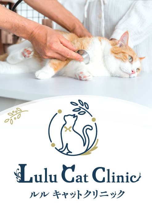 ルル キャットクリニック。当院は神奈川県相模原市にある、猫の診療に特化した動物病院です
