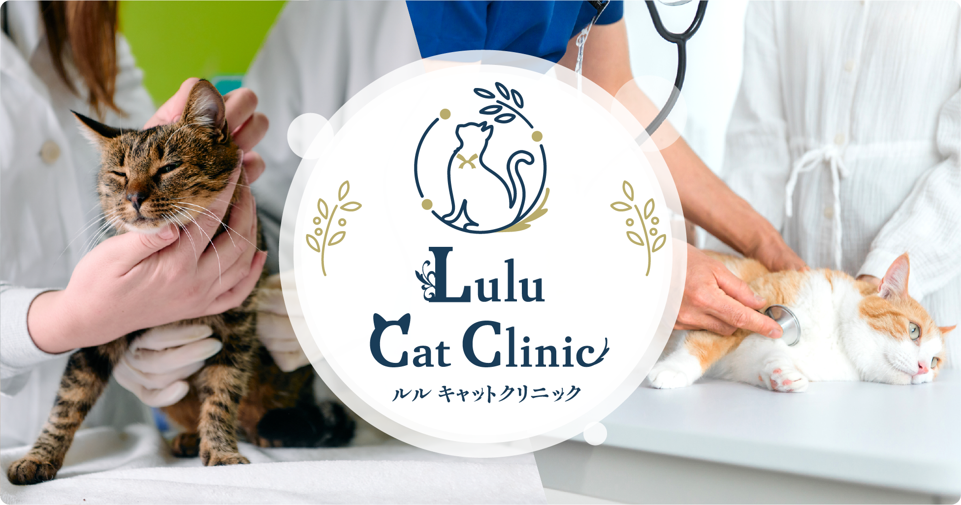 ルル キャットクリニック